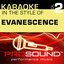 Karaoke - In the Style of Evanescence, Vol. 2 (Professional Performance Tracks)