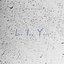 L. I.. Y...
