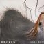 Broken