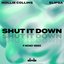 Shut It Down (P Money Remix)