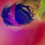 Avatar for Keli_Kapousky