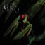 AKRIS