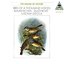 Natural Sound: Blaukehlchen / Bird of a Thousand Voices