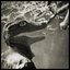 Mighty Crocodile