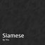 siamese