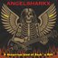 A Dangerous Kind Of Rock´n Roll