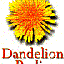 Avatar for DandelionRadio