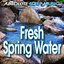 Fresh Spring Water