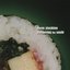 Pondering the Sushi