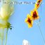 Mind in May - EP