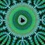 Psychedelic Meditation