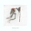The Ringing Out - Single