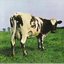 Atom Heart Mother (2011 Remastered)
