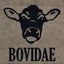 Bovidae