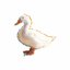Ducky - Single