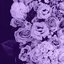 Last Summers Love - Single