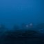 cold loneliness