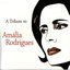 A Tribute to Amalia Rodrigues