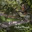 Chilled Moments - Single