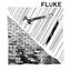 Fluke