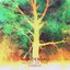 Heart of the Forest