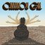 Cinnamon Girl: Women Artists Cover Neil Young for Charity