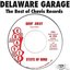 Delaware Garage: The Best of Chavis Records