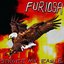 Stroke My Eagle - Single