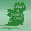 Timeless Celtic: Stars Of The County Down Vol 1