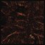 The Unbearable Form - EP