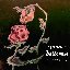 Falling In - Single