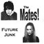 Future Junk