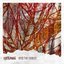 Into the Forest - EP