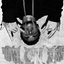 See No Evil
