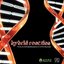 VA - Hybrid Reaction (DARKDD001) 2007 compiled by En Sof