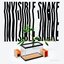 Invisible Snake