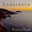 Endurance