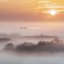 Mist