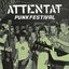 Punkfestival