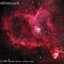 Little Rose (Winter Solstice Mix) - Single