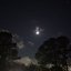 MOONLIGHT