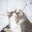 i love you so !