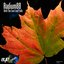 Until The Last Leaf Falls