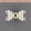 Imago