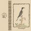 Ornithologies