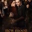 The Twilight Saga - New Moon