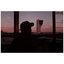 Flight No. 5 - Single