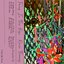 Faces In the Rise - EP