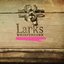 Larks