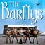 The Barflys